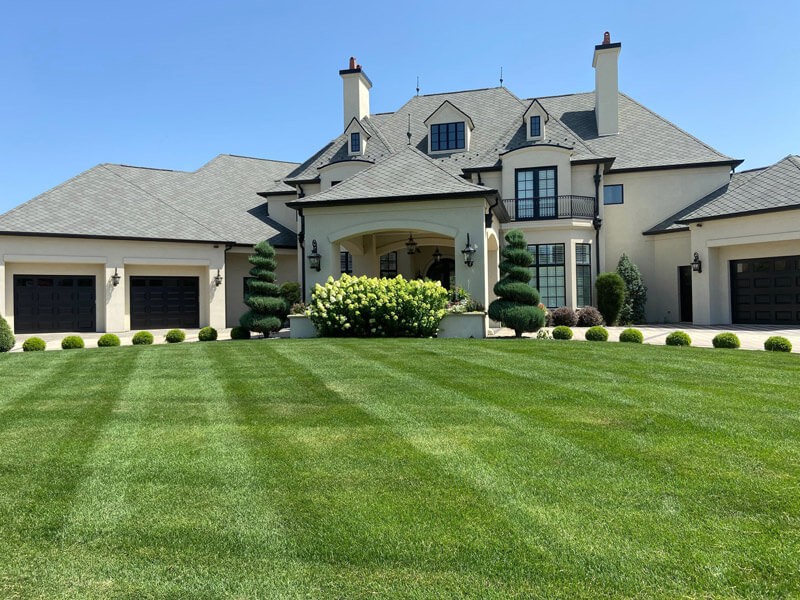 Lawn Fertilization & Weed Control